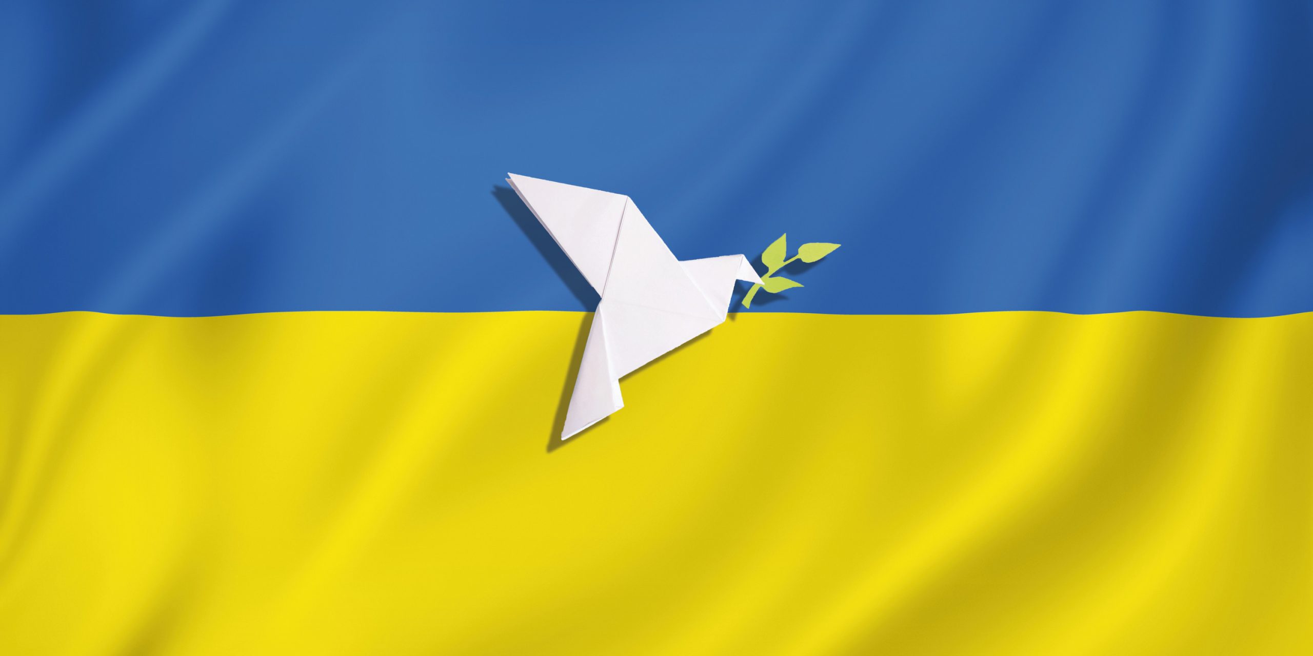 You are currently viewing Hilfe für die Ukraine – Abholshuttleservice für gepackte Hygienepakete